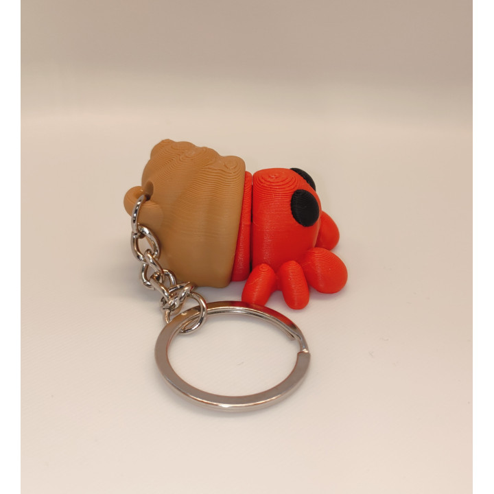 Mały Krab Pustelnik