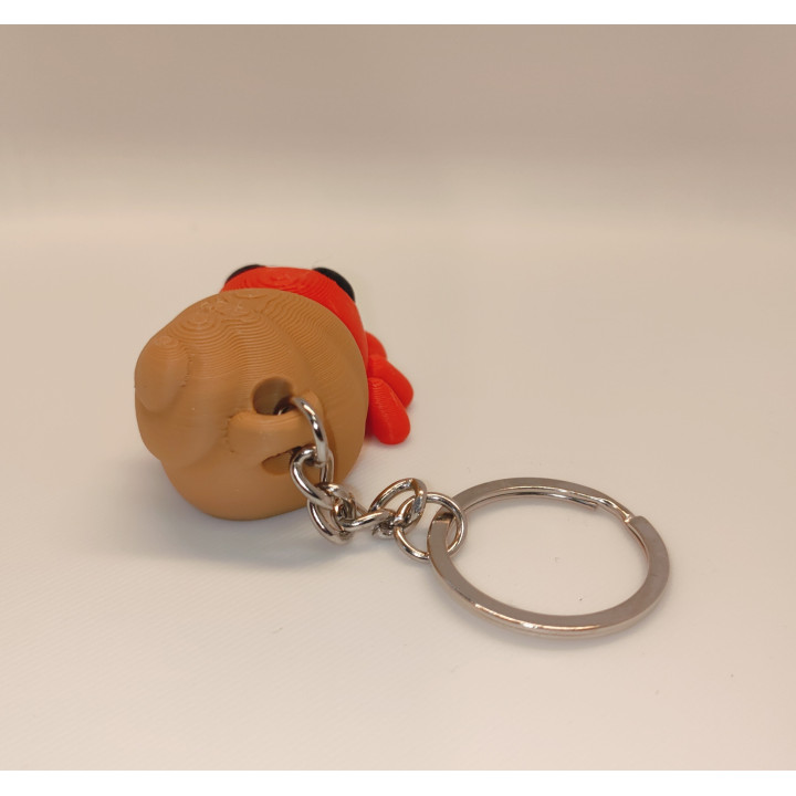 Mały Krab Pustelnik