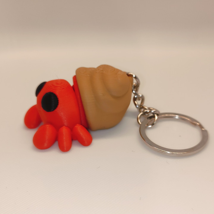 Mały Krab Pustelnik