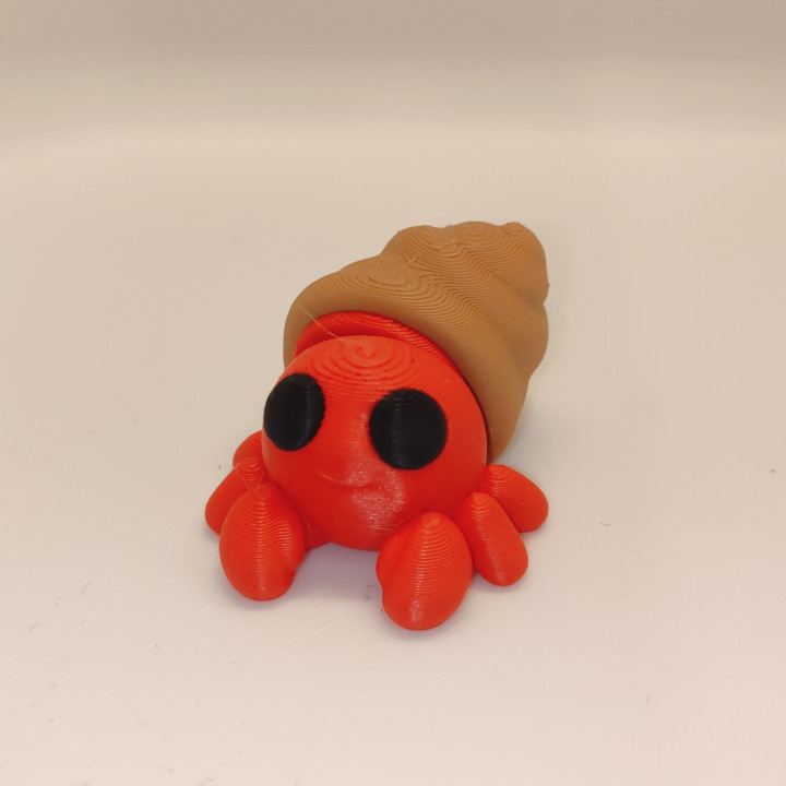 Mały Krab Pustelnik